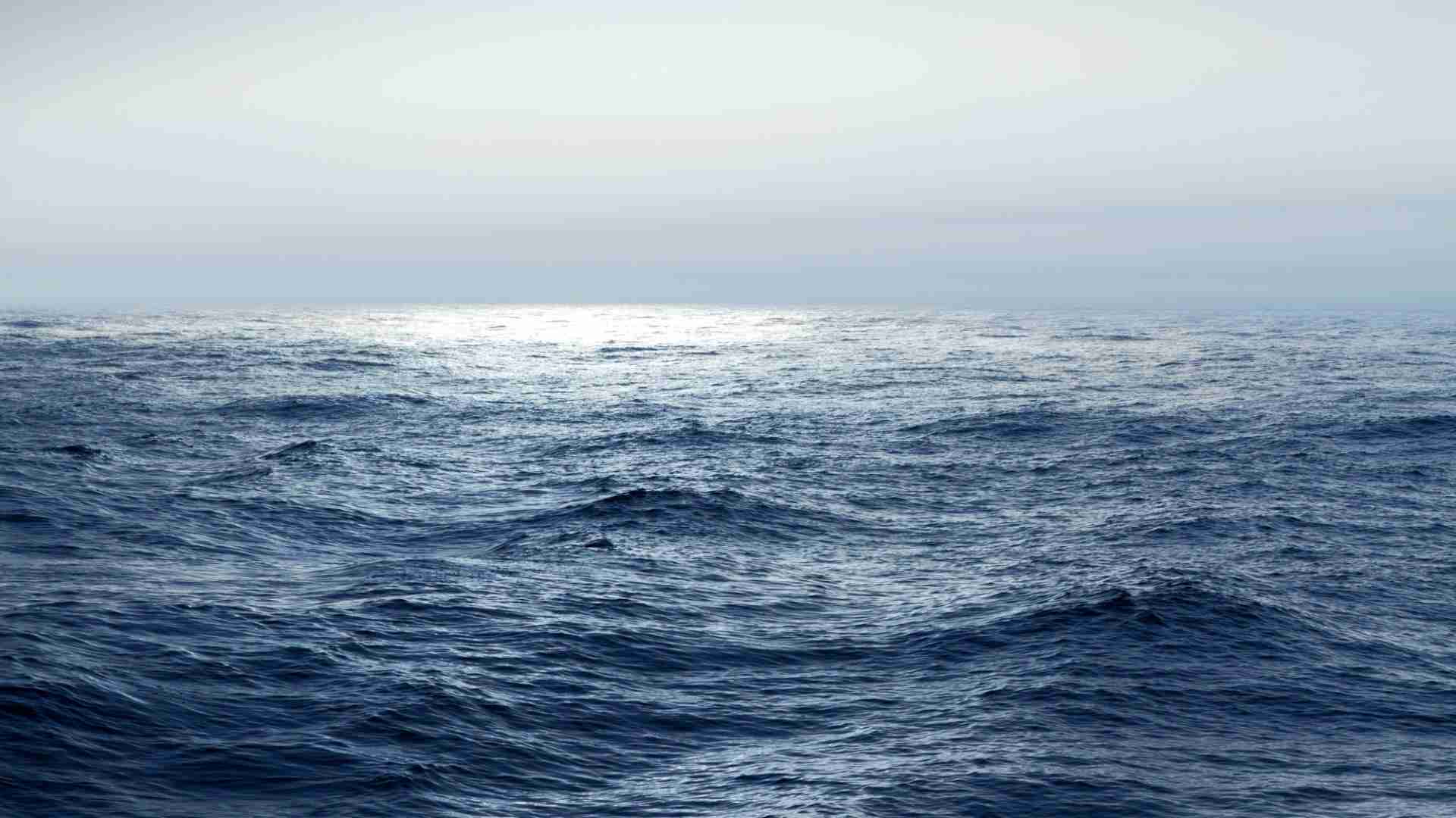 続編発表の実写版「ONE PIECE」広がり続ける盛り上がり、海外での反応は？（小新井涼） - エキスパート - Yahoo!ニュース