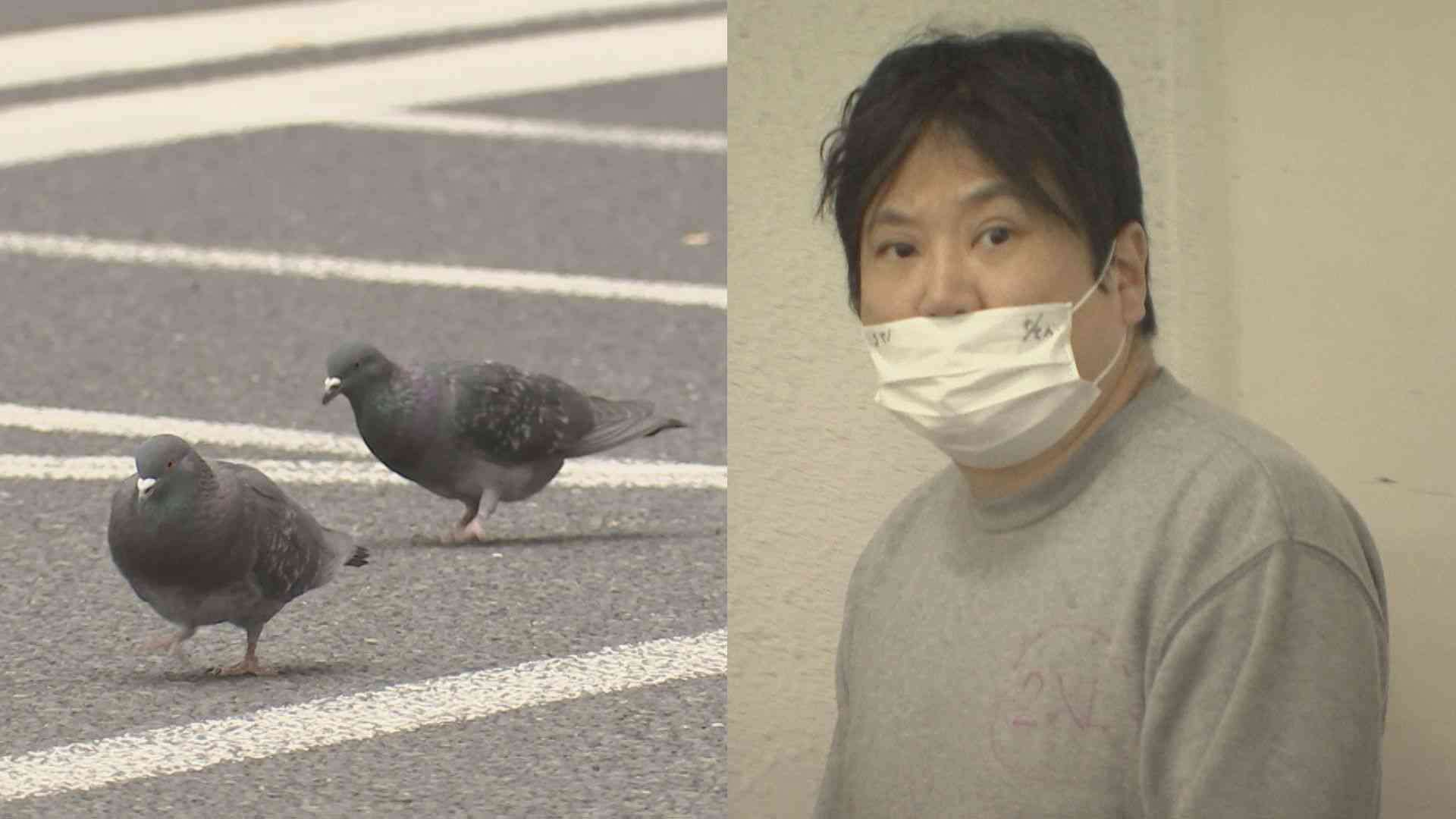 「道路は人間のもの」逮捕されたハト轢き男（50）を直撃！ なぜこれまで何匹ものハトが轢かれた“現場”で男だけが逮捕されたのか？ 近隣住民は「アパートにひとり暮らしで、トラブルもなく印象が薄い…」 | 集英社オンライン | 毎日が、あたらしい
