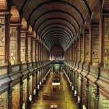 栞と紙魚子シリーズの古本地獄屋敷。幽霊達にすっごく共感する。地震で本棚に押し... | ガールズちゃんねる - Girls Channel -