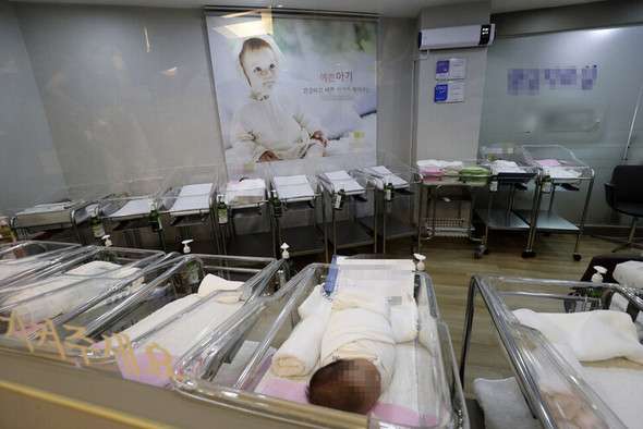 「韓国は少子化の落とし穴にはまった」経済成長率が年１.１３ポイント低下 : 経済 : hankyoreh japan