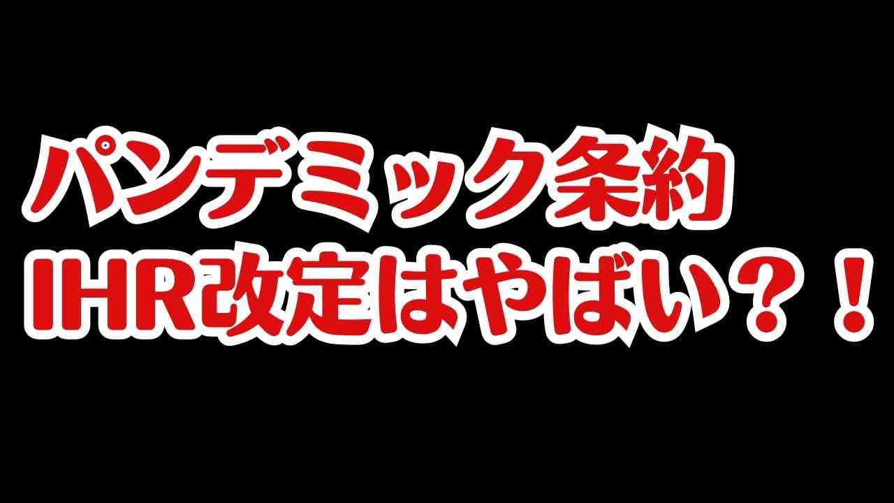 パンデミック条約とIHR改定は思っているよりやばい！？ - ニコニコ動画