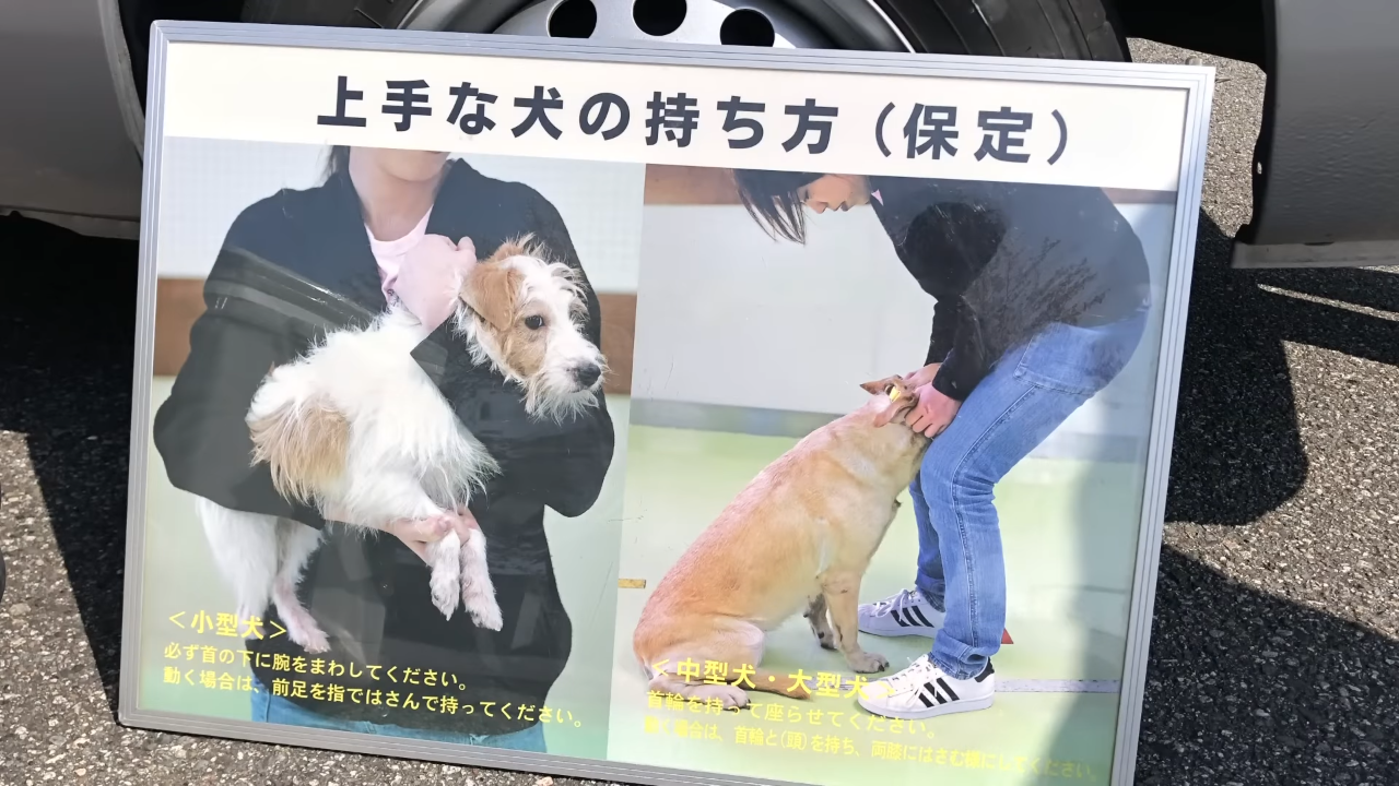 大型犬が好きな人が画像を貼ったり愛でたりするトピ