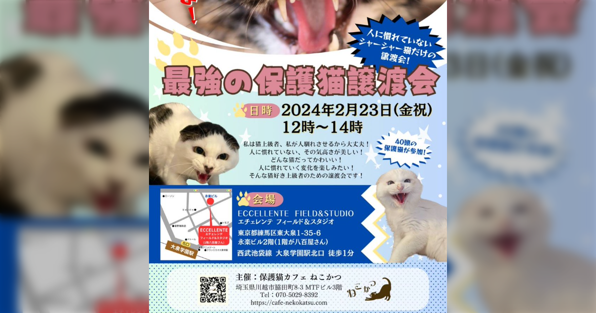 「集え！強者たちよ」甘えん坊、抱っこ好きな猫は一匹もいない、シャーッ！する子だけの「最強の保護猫譲渡会」が斬新 - Togetter