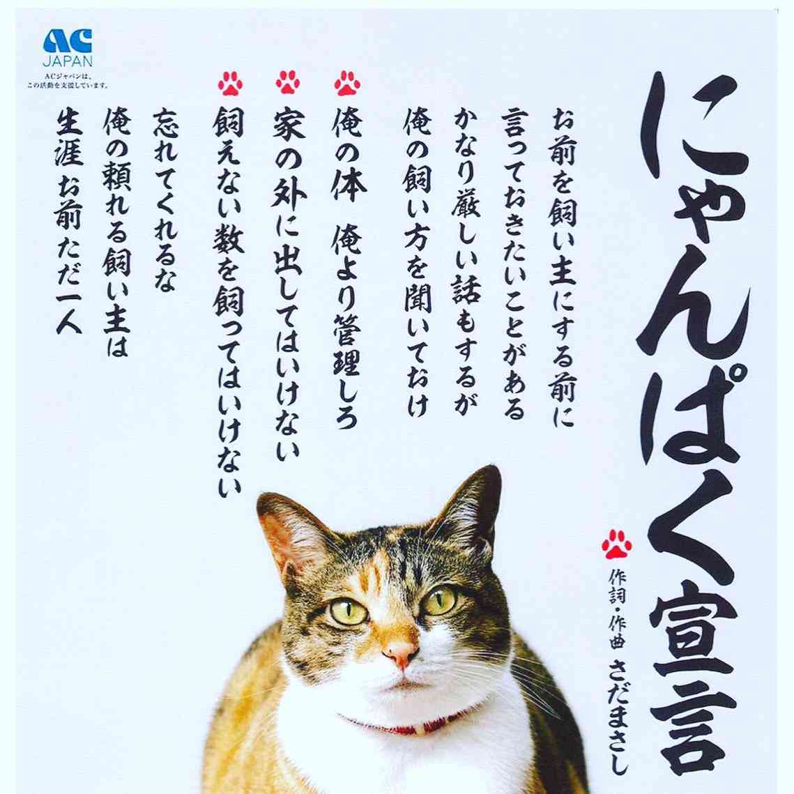 仲良しの小型犬を襲ったコヨーテ、黒猫が飛び出して撃退　米オクラホマ州