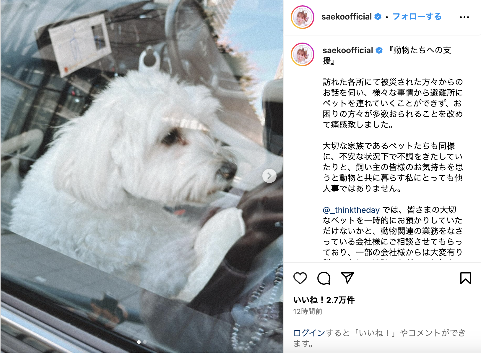 紗栄子 能登半島地震の被災地でペットの一時預かりを発表 代表務める社団法人で施設紹介