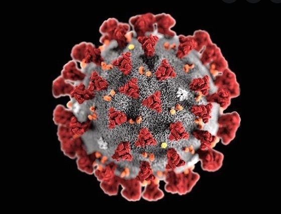 「目が白く変わると皆死んだ」…「致死率１００％」コロナ変形ウイルスを作り出した中国（中央日報日本語版） - Yahoo!ニュース