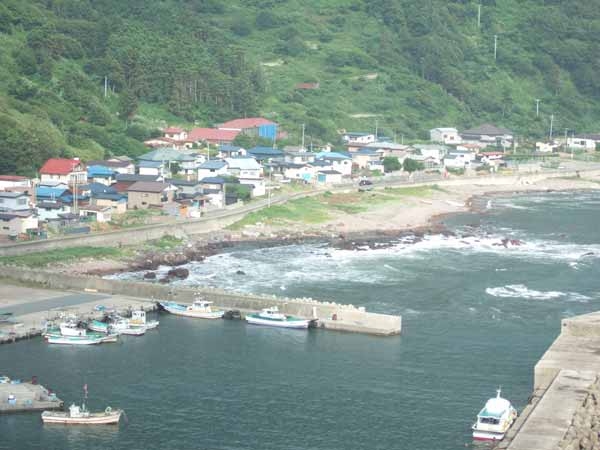【国土を脅かす地震と噴火】63　日本海中部地震津波　遠足の小学生13人犠牲に／伊藤 和明｜労働新聞連載記事｜労働新聞社