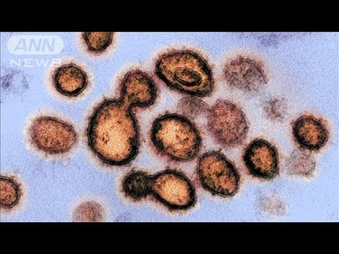 コロナ発表2週間前に解析終了か 「中国の研究員が米政府と共有」(2024年1月19日) - YouTube