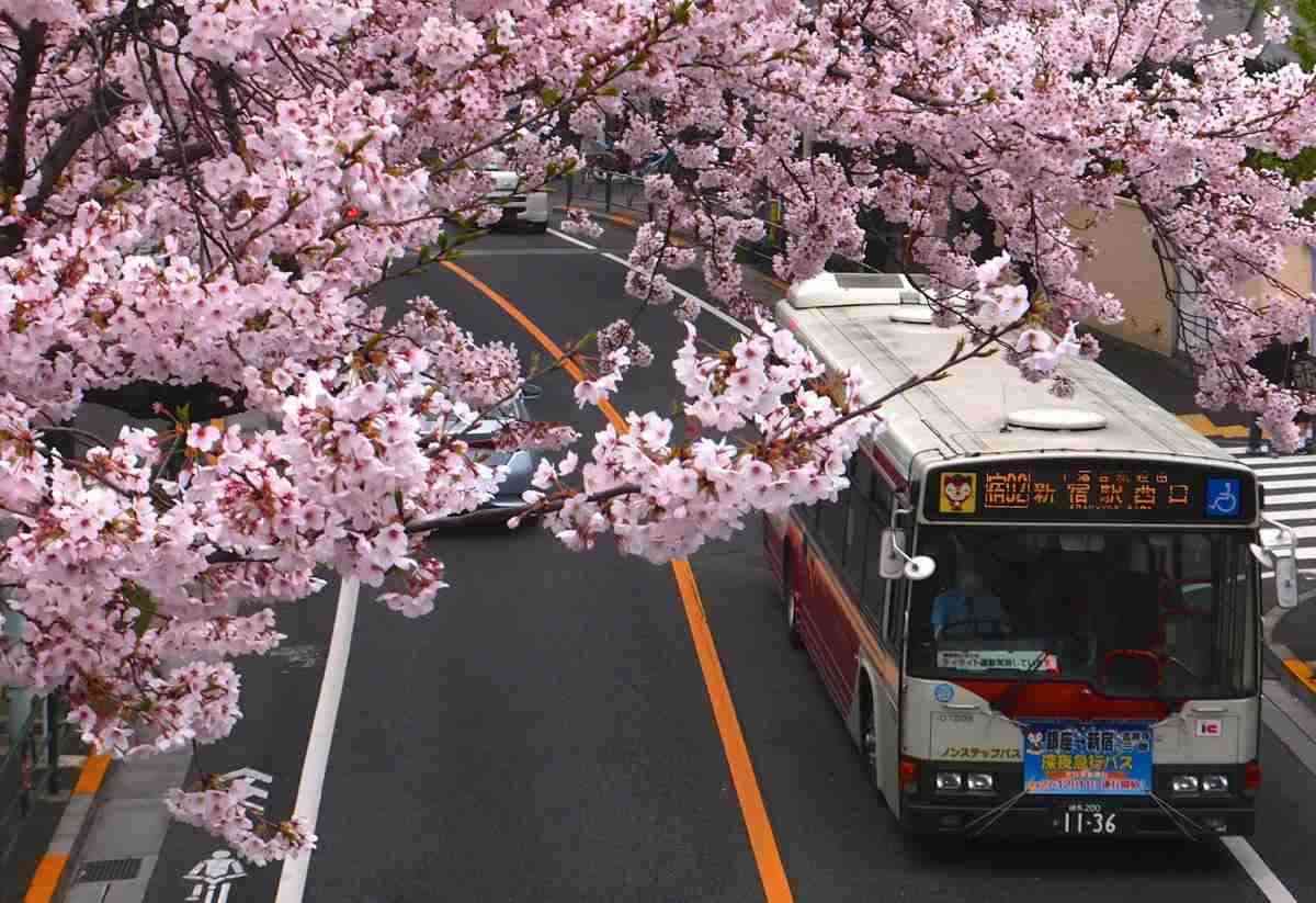 「転入超過」東京都が6万8285人「緩やかに拡大が続いている」