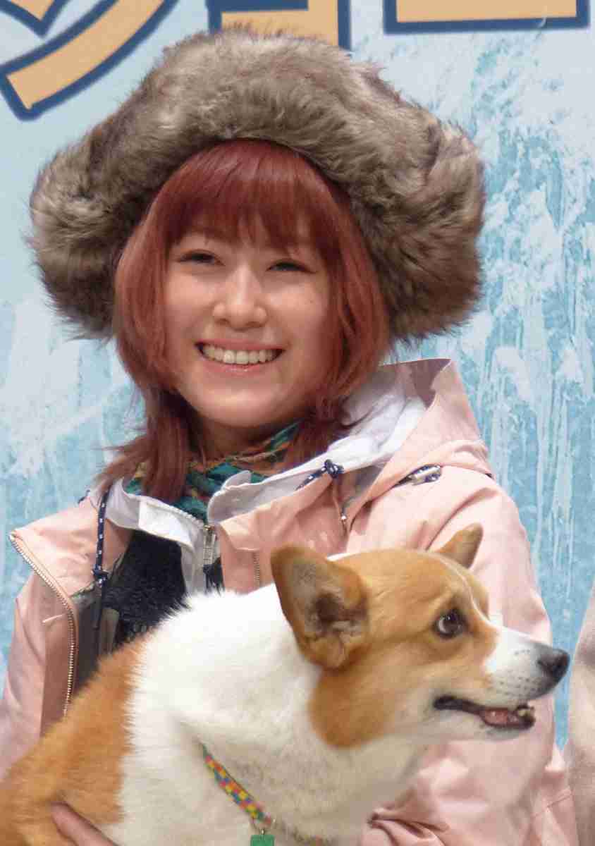 IMALU　賛否集めた「ペット貨物室積み込み禁止」への署名　真意説明「私が伝えたかったのは」（スポニチアネックス） - Yahoo!ニュース