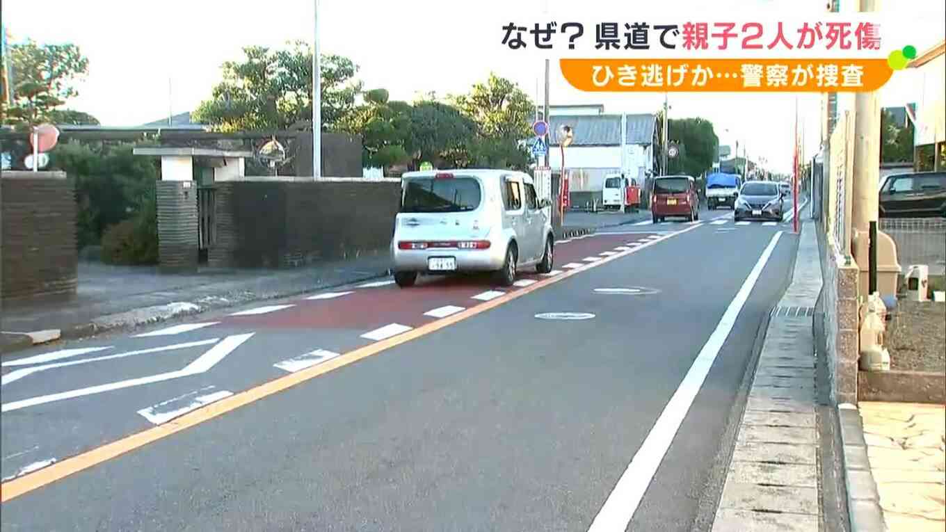 ごみ当番の親子が意識不明で運ばれる…息子と母親が死亡　速度の出た車がはねた“ひき逃げ事件”か「最近ごみ出しの場所が変わり危険だった」=静岡