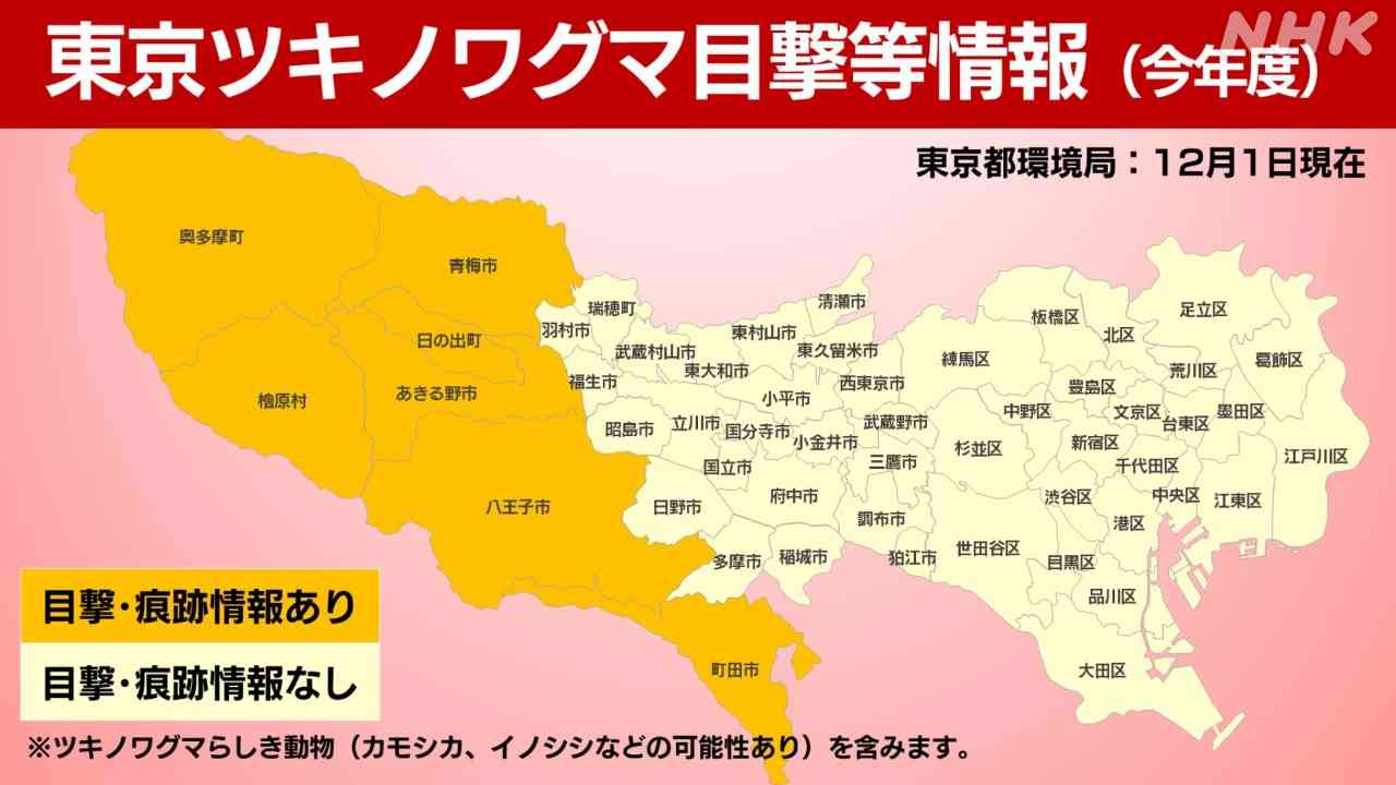「クマが東京23区内に現れる日も遠くない」アライグマやハクビシンまで都会に出没する理由