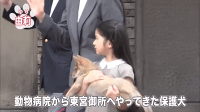 牧場が好きな人