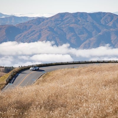 現生人類@ on Twitter: 