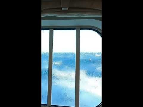 Giant Wave Hits Cruise Ship #shorts @PortMonkeys #cruise #scary - YouTube