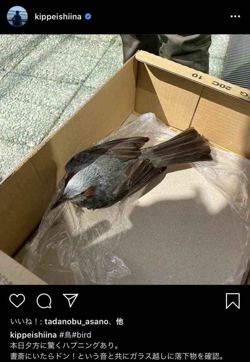 椎名桔平、自宅の窓に激突の野鳥を救出…動物病院では診てもらえずも無事飛び立つ