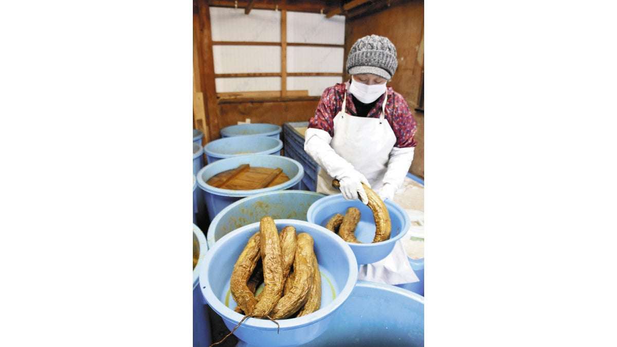 秋田名産「いぶりがっこ」ピンチ、農家４割「続けられない」…作業場改修に１００万円 : 読売新聞