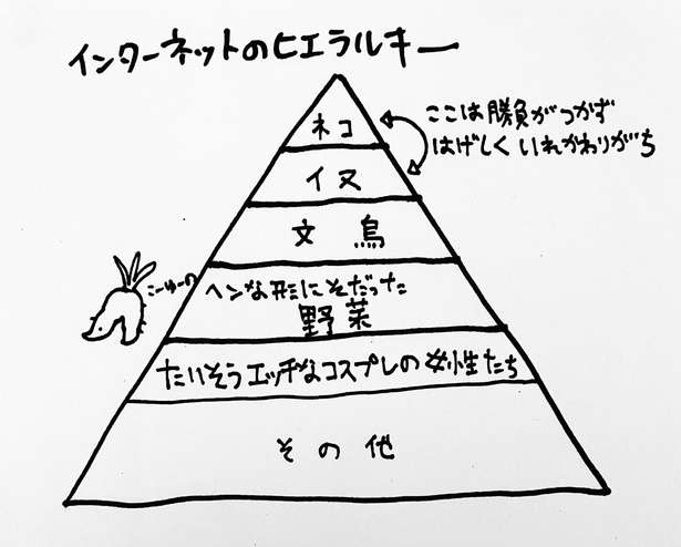 【ネットでは猫と犬が頂点】インターネットのヒエラルキーを描いた図解が万バズ！「そらそうよ」「文鳥以外は納得」とネット民は侃々諤々｜ウォーカープラス