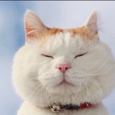 bun on Twitter: