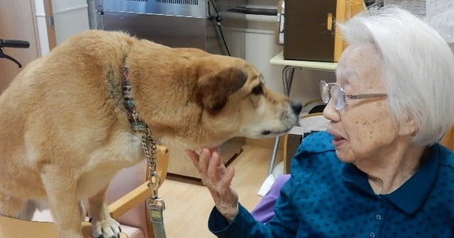 「人生の最後に、自分の大切なものを『諦めろ』は酷」犬・猫と入居できる老人ホーム、現場を10年見つめてきた中での課題とやりがい | ORICON NEWS