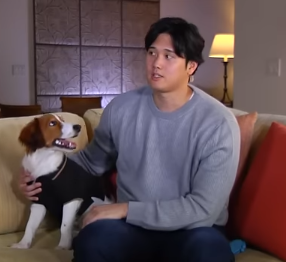 大谷翔平「ワールドシリーズで勝つ」…愛犬デコピンとは「一緒にリハビリを頑張りました」