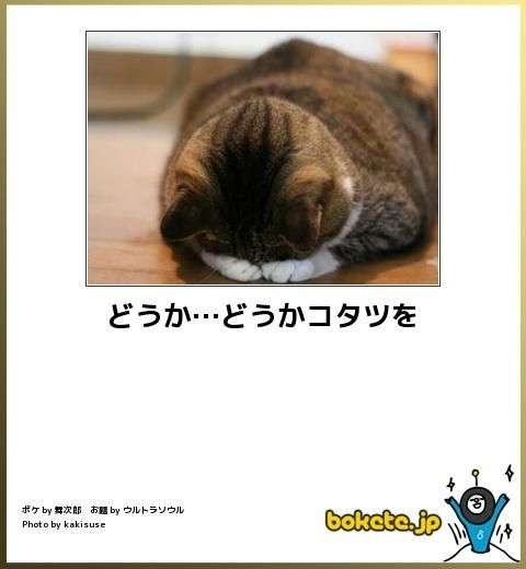 こどおばの大晦日