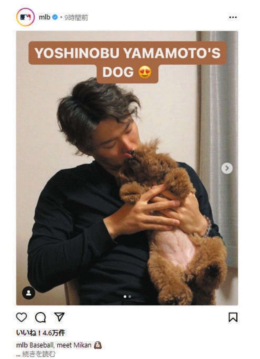 大谷翔平の愛犬デコピンにビザ発給　ということは…山本由伸の「みかん」にも必要か