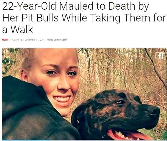 またピットブル…22歳の飼い主が食い殺される　林を散歩中に豹変か（米）