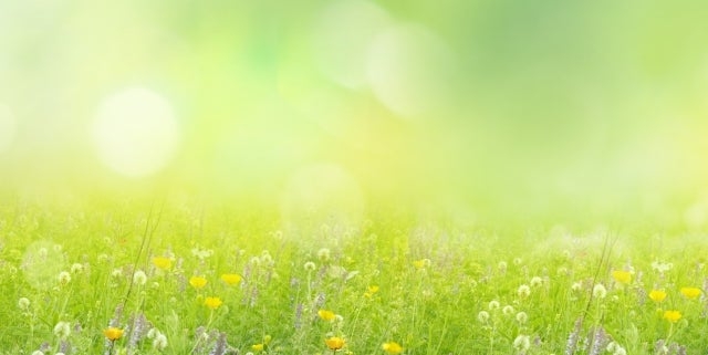 「不登校を病気として扱うのは精神科や製薬会社の悲願」「私の経験ではオプジーボで治った癌患者は…」 | 木も見て森も見る