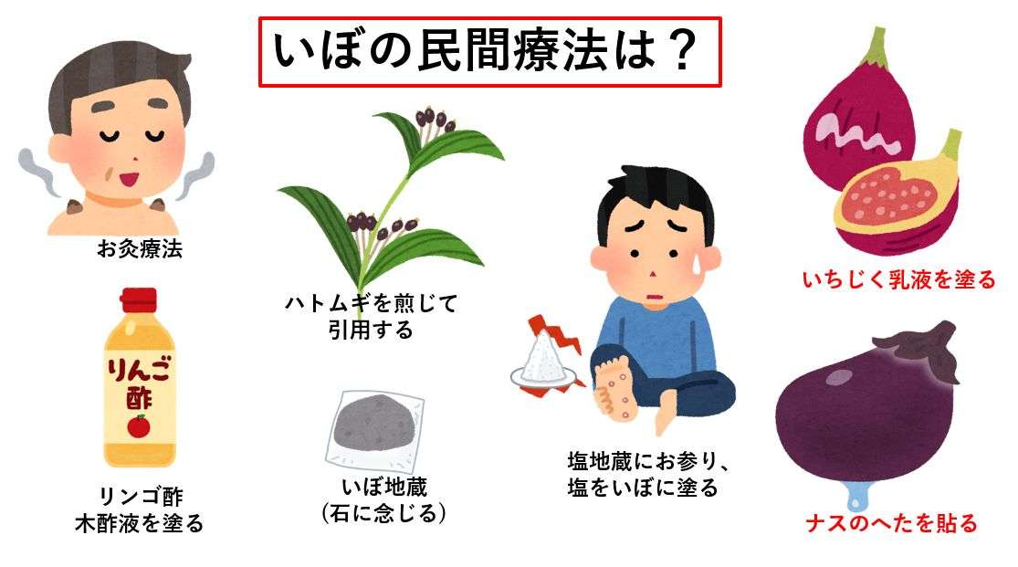 ナスのヘタに含まれる天然化合物、子宮頸がん細胞に抗腫瘍効果 名大
