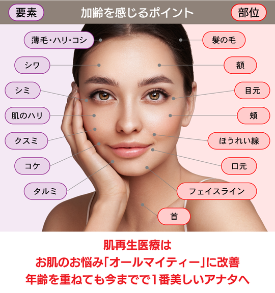 美容皮膚科を選ぶポイント