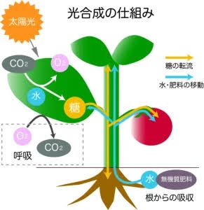 理科の授業で覚えている言葉をただひたすら書くトピ