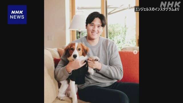 大谷選手 MVP発表時一緒に映っていた犬も話題に あの犬は？｜NHKスポーツ