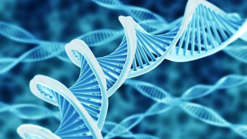 Study: Genetics can increase likelihood of sex offense | CNN