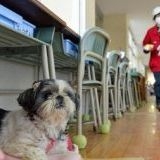 >>3365蹴り飛ばすなんてしない蹴ってもすぐに起き上がってまた歩き出すでしょ私は... | ガールズちゃんねる - Girls Channel -