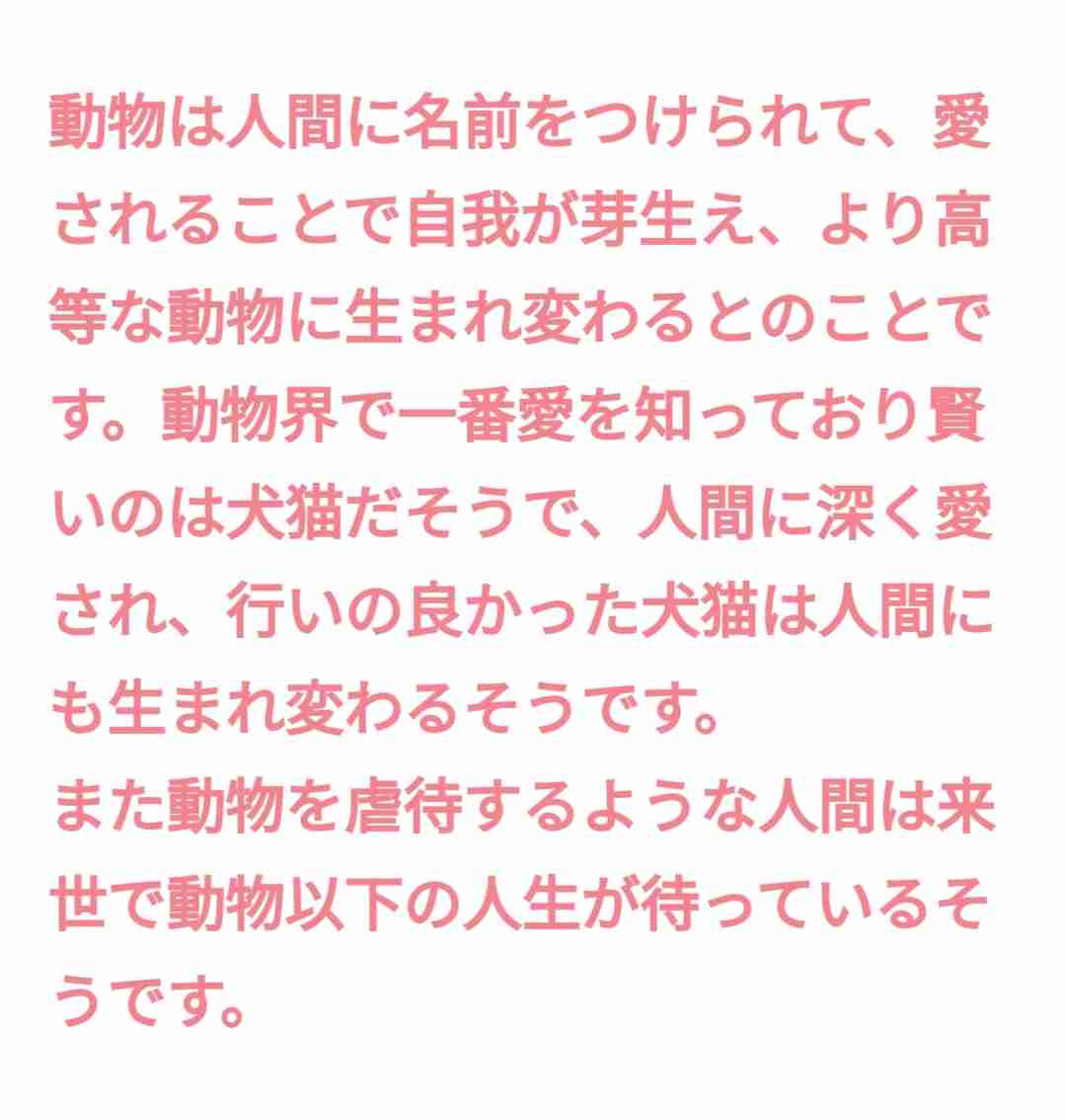 宜保愛子さんを語りませんか Part8