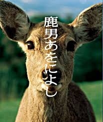 好きなドラマのサントラ