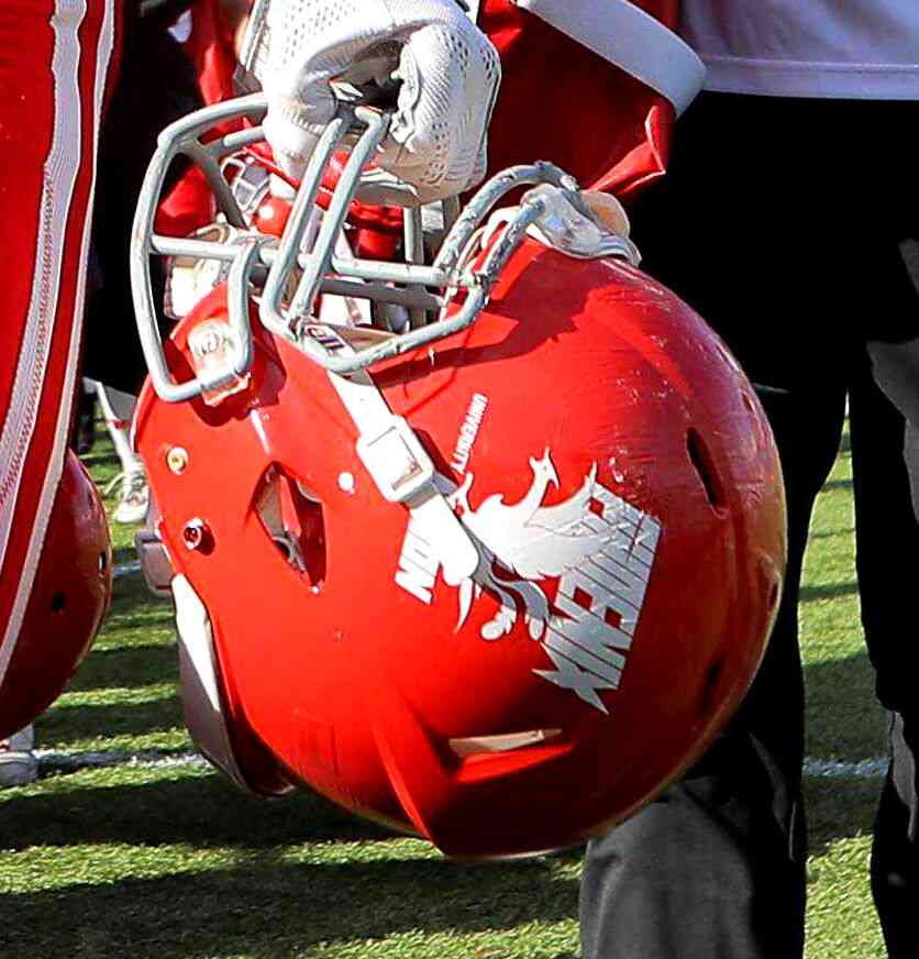 日大アメフト部、関東学連から「退社」が決定　違法薬物事件による廃部を正式に報告 : スポーツ報知