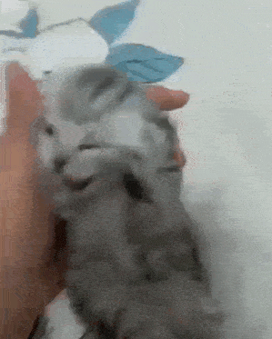 これだけは生理的に無理なこと