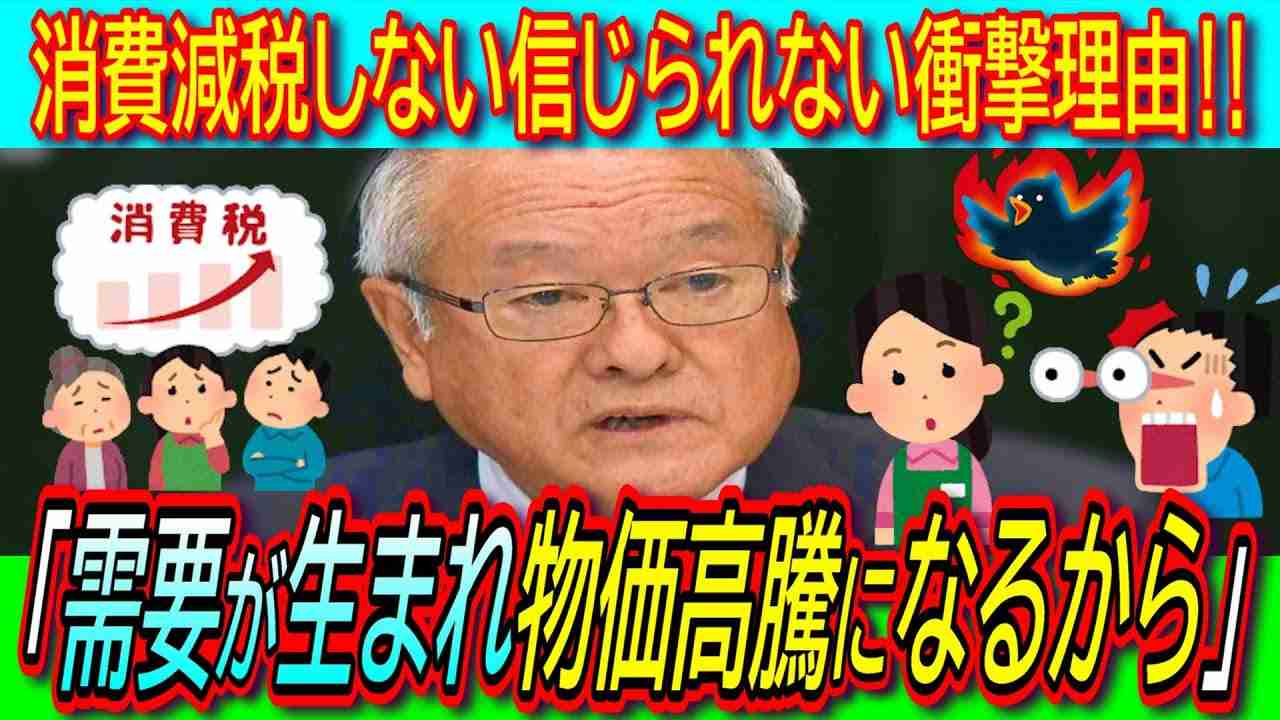 【超悲報】「消費税減税すると物価が下がり需要が生まれ物価高騰するのでやらない」衝撃の財務省見解！【鈴木財務相/柳ヶ瀬議員/デマンドプルインフレ/コストプッシュインフレ】 - YouTube