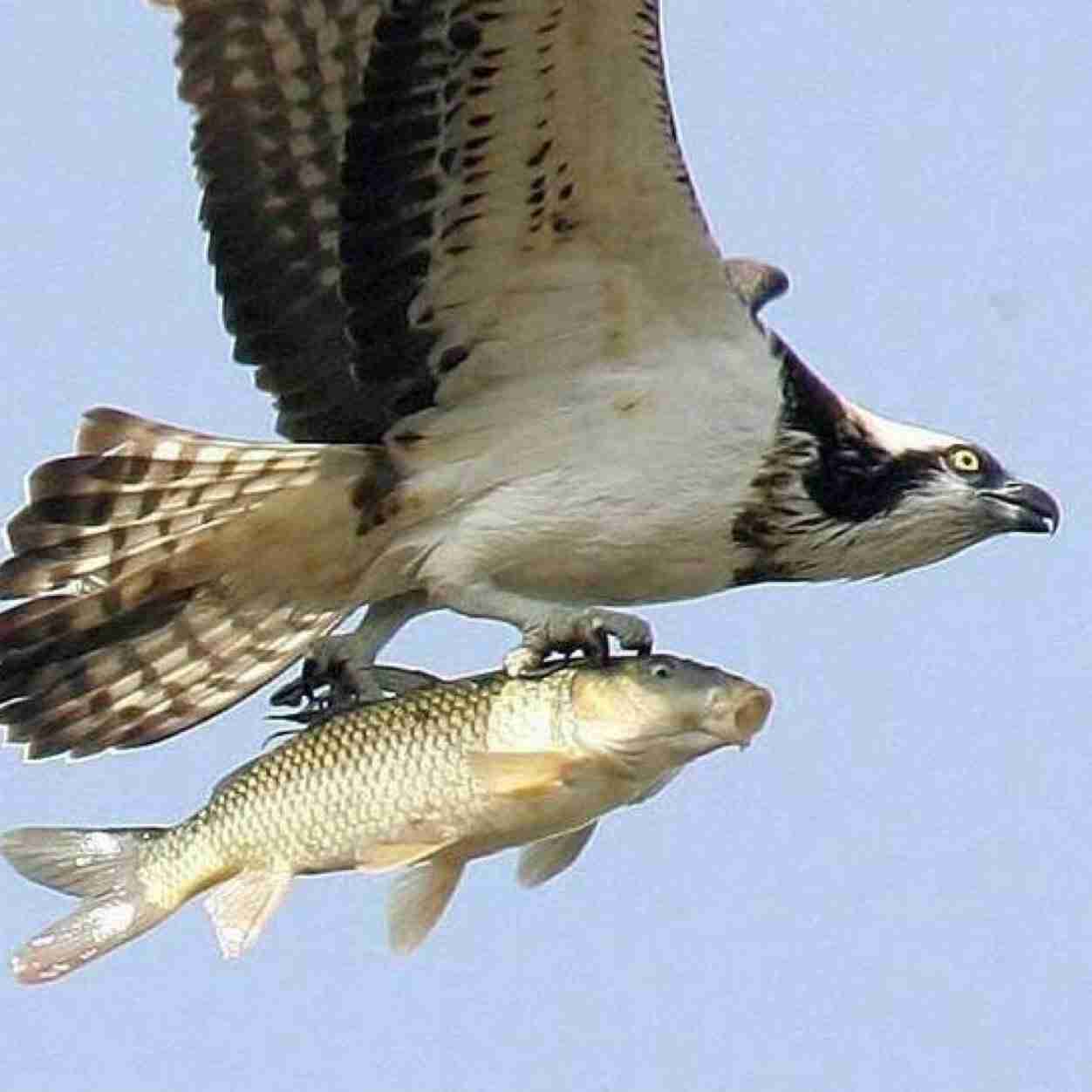 マスコミは疑え！ on Twitter: 