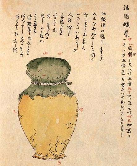 見たら死ぬ！秋田県「猿酒」の作り方【原材料は人間？】 | オカルトオンライン｜都市伝説・オカルト・怖い話・心霊スポット