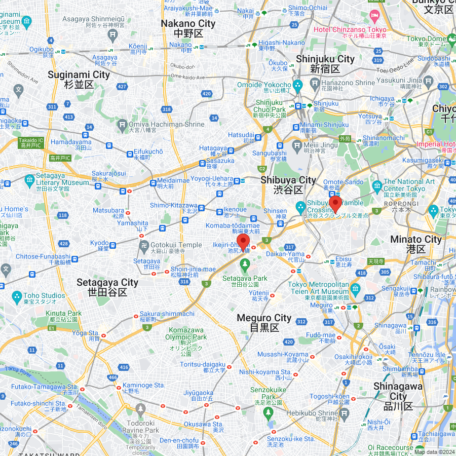 Google マップ 