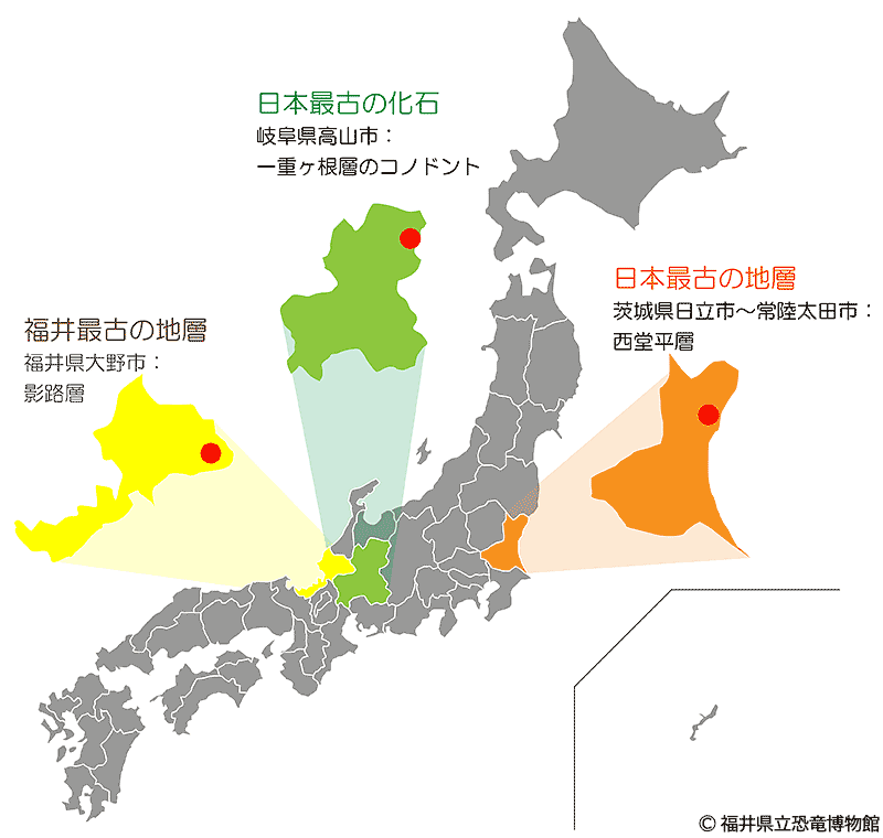 日本にある地層で一番古いのは？｜恐竜・古生物 Q&A｜FPDM: 福井県立恐竜博物館