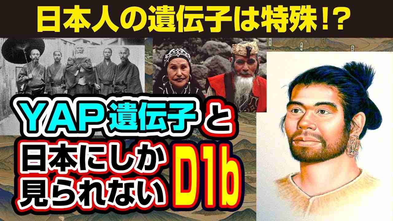 日本人の遺伝子は縄文人から！？YAP遺伝子と日本にしか見られないD1b遺伝子 - YouTube