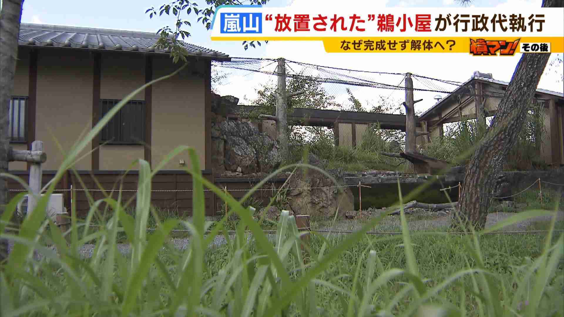 嵐山の一等地に放置の『鵜小屋』解体費1000万円に怒る会社社長「納得できる話ではない」　背景に『解任された前社長』　京都府が行政代執行で解体を開始（MBSニュース） - Yahoo!ニュース