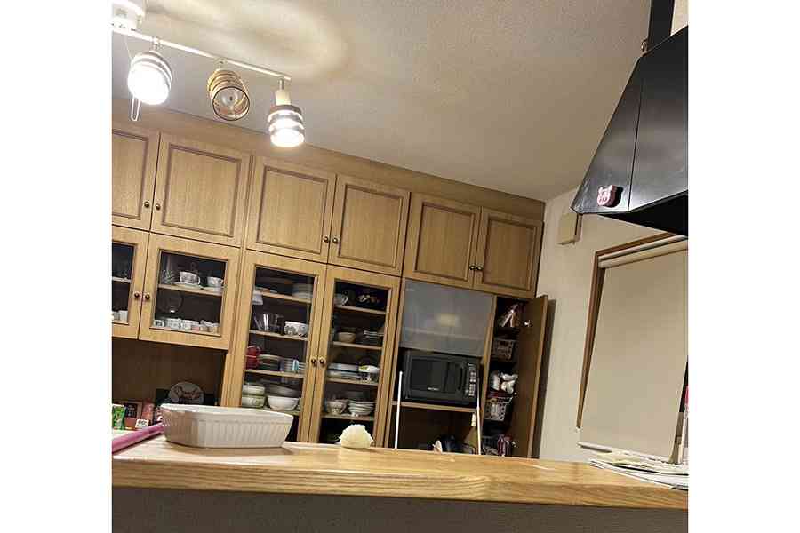 え、どこにいる？　キッチンにインコ　難易度高し「昨夜から探してるけど見つからない…」の声