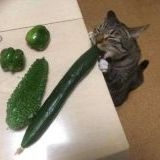 269. 匿名 2024/02/02(金) 11:04:55  [通報]>>16まじふざけてる | ガールズちゃんねる - Girls Channel -