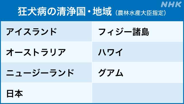 ウクライナ避難犬めぐり…日本が65年前に撲滅した狂犬病とは？
