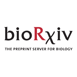 Viral interference between severe acute respiratory syndrome coronavirus 2 and influenza A viruses | bioRxiv